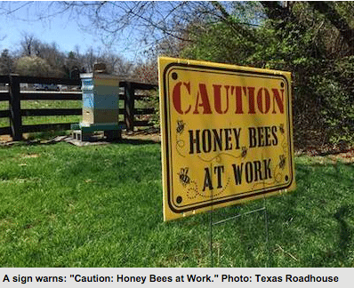 causing honey bees at work sign